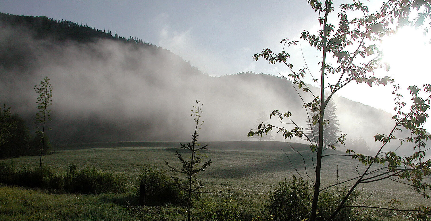 Foto Wiese im Gebirge